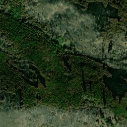 Satellite imagery of Cougar Ridge, US