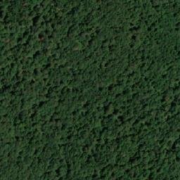 Satellite imagery of Ćurguzovac, BA