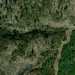 Satellite imagery of Cougar Ridge, US