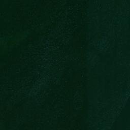 Satellite imagery of Sheldons Point, CA