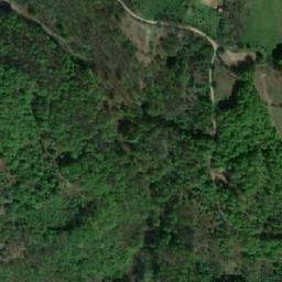 Satellite imagery of Svinjci, BA