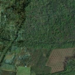 Satellite imagery of Golo Brdo, RS
