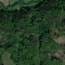 Satellite imagery of Svinjci, BA