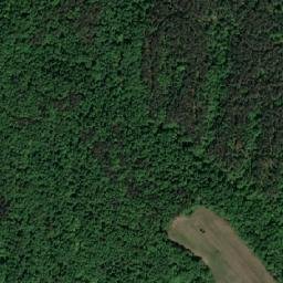 Satellite imagery of Trifunovo Brdo, BA