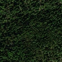 Satellite imagery of Little Doe Mine, US