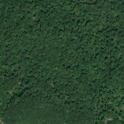 Satellite imagery of Winetka Point, US