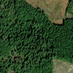 Satellite imagery of Palisades, US