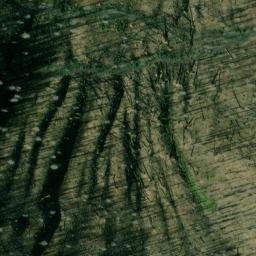 Satellite imagery of Woodpecker Ridge, US