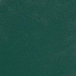 Satellite imagery of Birch Point, US