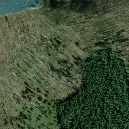 Satellite imagery of Woodpecker Ridge, US