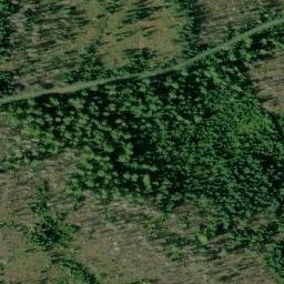Satellite imagery of Woodpecker Ridge, US