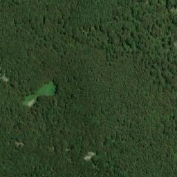 Satellite imagery of Ljuljevačko Bilo, HR