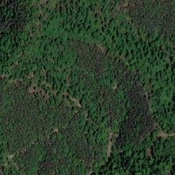 Satellite imagery of Veliki Borak, BA