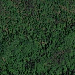 Satellite imagery of Veliki Borak, BA