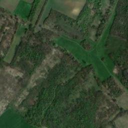 Satellite imagery of Velika Banjica, RS