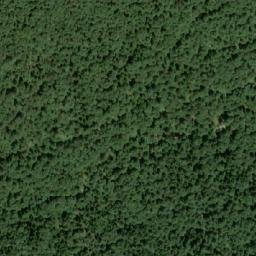 Satellite imagery of Javorovo Bilo, HR