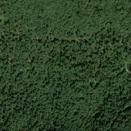 Satellite imagery of Javorovo Bilo, HR