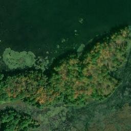 Satellite imagery of Benson Point, CA
