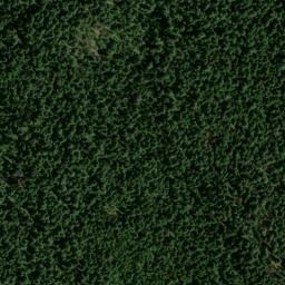 Satellite imagery of Dixie Meadows Mine, US
