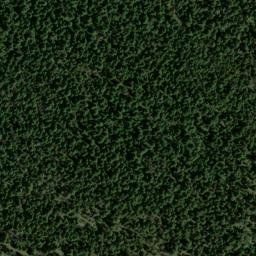 Satellite imagery of Dixie Meadows Mine, US