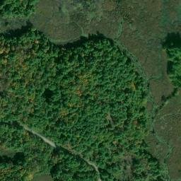 Satellite imagery of Benson Point, CA