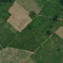 Satellite imagery of Buzdovan, RS