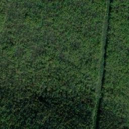 Satellite imagery of Boškovića Greda, BA