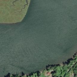 Satellite imagery of Grassy Point, US