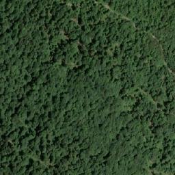 Satellite imagery of Bužimsko Bilo, HR