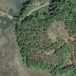 Satellite imagery of Green Point, US