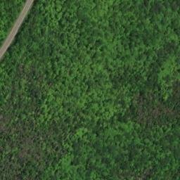 Satellite imagery of Long Pine Point, CA