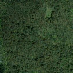 Satellite imagery of Gavranuša, BA