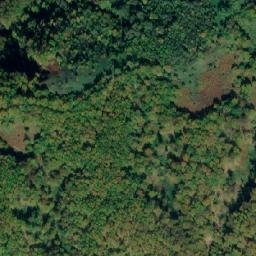 Satellite imagery of Spasovnica, BA