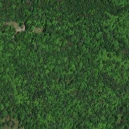 Satellite imagery of Freeborn Point, CA