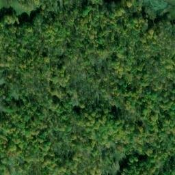 Satellite imagery of Austen Point, CA