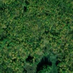 Satellite imagery of Austen Point, CA
