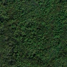 Satellite imagery of Jasenovača, BA