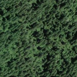 Satellite imagery of Errol Ridge, US