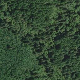 Satellite imagery of Chinquapin Ridge, US