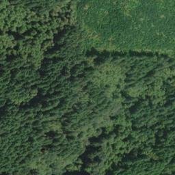 Satellite imagery of Chinquapin Ridge, US