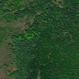Satellite imagery of Daniels Point, CA