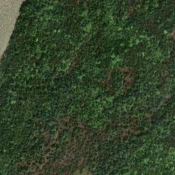 Satellite imagery of Birch Point, CA