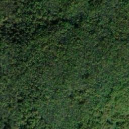 Satellite imagery of Jasenovača, BA