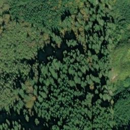 Satellite imagery of Chinquapin Point, US