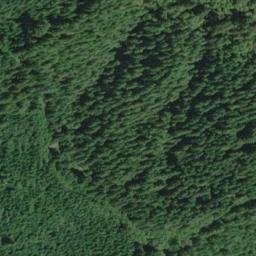 Satellite imagery of Chinquapin Ridge, US