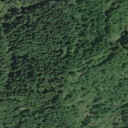 Satellite imagery of Chinquapin Ridge, US