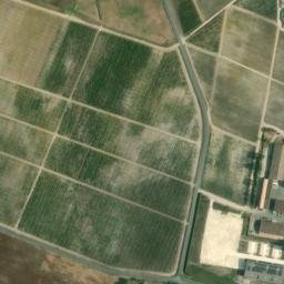 Satellite imagery of Château d'Yquem, FR