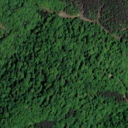 Satellite imagery of Trbušnjak, BA