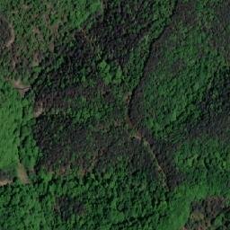 Satellite imagery of Trbušnjak, BA