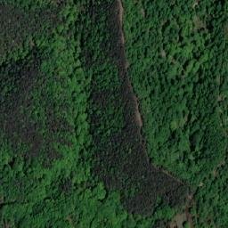 Satellite imagery of Trbušnjak, BA